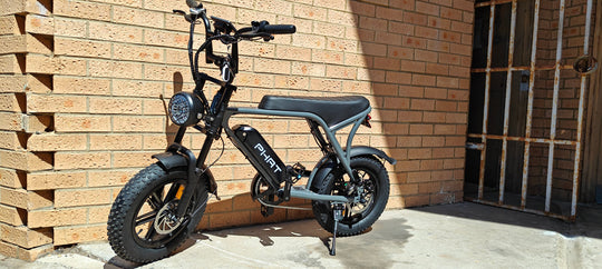 Phat Ebike Pro
