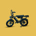 Experience the Power and Comfort of the Phat Maxi eBike!